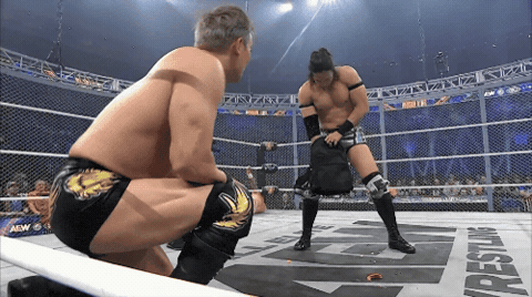 Surprise What Do We Have Here GIF
