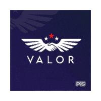 F45 Valor Sticker by F45TeAtatu