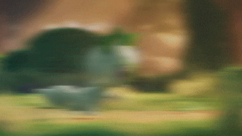 Pokemon Tcg Running GIF by Pokémon