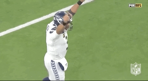 Seattle Seahawks Football GIF by NFL