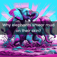 Skin Protection GIF by ExplainingWhy.com