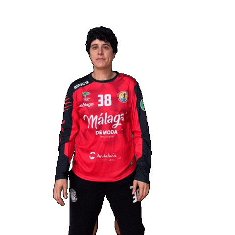 X-Wing Handball Sticker by Club Balonmano Femenino Málaga Costa del Sol