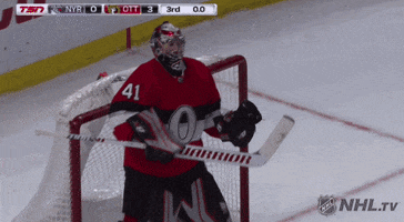 happy ice hockey GIF by NHL