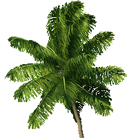 Magnum Pi Sticker by NBC