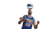 dancing Sticker by Harlem Globetrotters