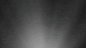Easter Bible GIF by Mariners Church