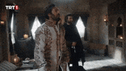 Enemy Sefer GIF by TRT