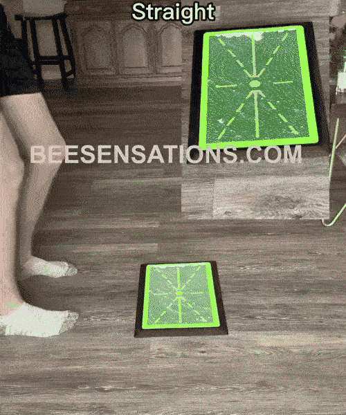BeesSensations giphyupload GIF
