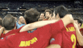 Celebrate Euro 2012 GIF by UEFA