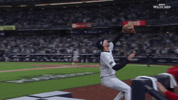 New York Yankees Wow GIF by MLB