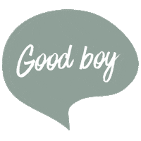 Good Boy Dog Sticker by Poppy + Ted