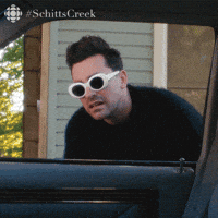 Schitt's Creek gif. Dan Levy as David shakes his head and leans into an open car window, shaking his head in confusion and asking "why?"