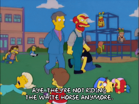 episode 8 principle skinner GIF