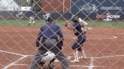north dakota state bison GIF by NDSU Athletics