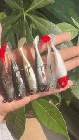 GIF Animado