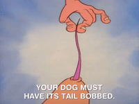 nicksplat ren and timpy GIF