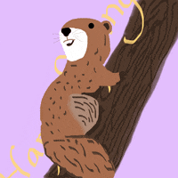 AustinPublicLibrary  GIF