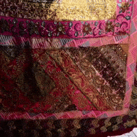 Dog Hello GIF by The Vanlife Network