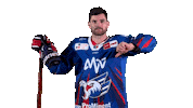 Bennett Sticker by Adler Mannheim