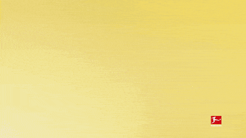 Borussia Dortmund Yes GIF by Bundesliga