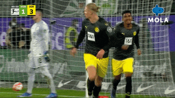 Happy Borussia Dortmund GIF by MolaTV