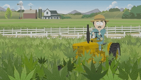 Randy Marsh Tractor GIF by South Park