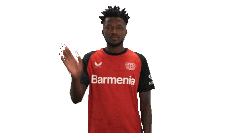 Bye Bye Leverkusen Sticker by Bundesliga