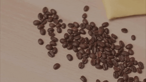 Cup Of Coffee GIF by giphystudios2021