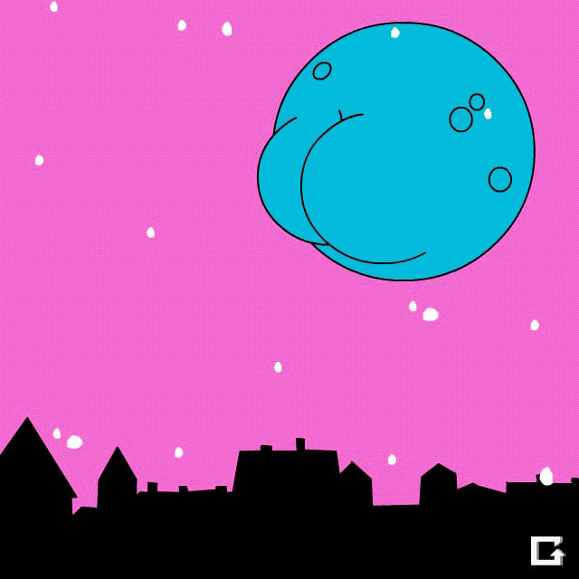 Funny Christmas GIF by gifnews