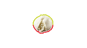 grandfrais marche courses magasin burrata Sticker