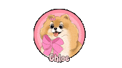Rinoa Sticker