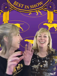 wkcdogshow GIF by Westminster Kennel Club