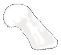 akimame cat hand ねこ もふもふ Sticker