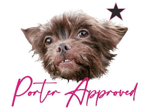 Puppy Love La Sticker by SecondSummerBrideSac