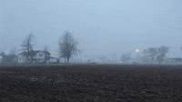 Fog Blurs Landscape in Northwestern Ohio