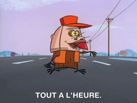 nickrewind nicksplat angry beavers GIF