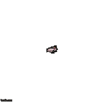 deptelmadesouza lula haddad telma lula2022 Sticker