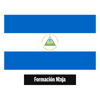 Flag Bandera Sticker by Formación Ninja