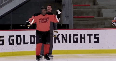The Ultimate Fighter Hockey GIF by UFC