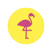Pink Flamingo Sticker by Heideweek
