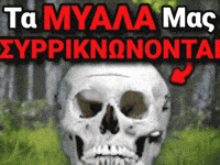 Our Brains Are Shrinking GIF