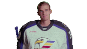 Sticker by Colorado Eagles