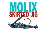 Molixlures Sticker by molix