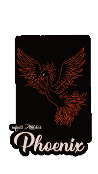 Fire Bird Sticker by iNFiNiTi  Athletics