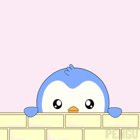 I Got It Ok GIF by Pudgy Penguins