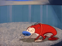 nicksplat ren and timpy GIF