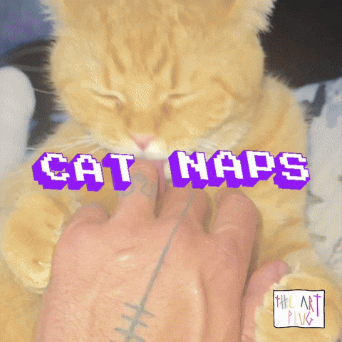 Stevie Wonders Cat GIF by Marcel Katz / The Art Plug