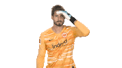 Whats Up What Sticker by Bundesliga