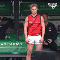 Excited Aussie Rules GIF by Essendon FC
