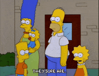 homer simpson episode 25 GIF